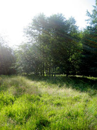 O.U.R. Ecovillage Land