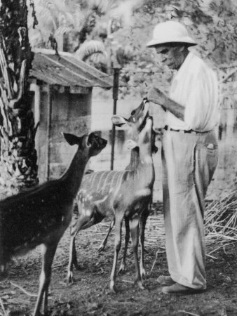 Albert-Schweitzer-with-animals