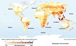 Threatened bird species