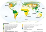 Map of the different biomes