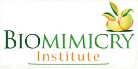 Biomimicry Institute