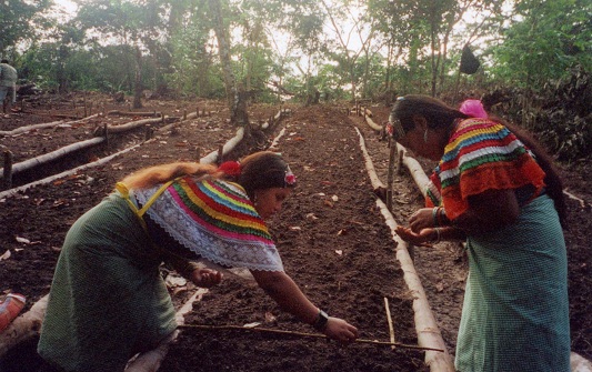 Chiapas-Mexico_ladies-farming