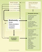 Biodiversity and ecosystem services