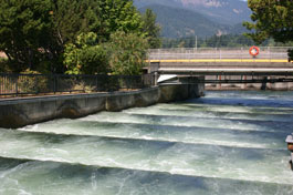 Fish Ladder at the Bonneville Dam on the Columbia River Separating Washington and Oregon.