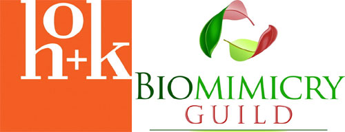 HOK and Biomimicry Guild