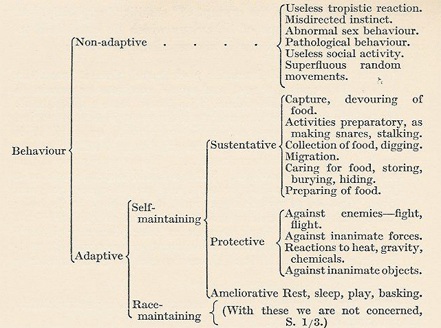 Holmes classification