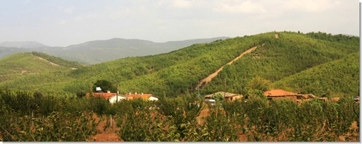 Marmariç Ecovillage in Turkey