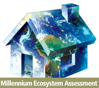 Millenium Ecosystem Assessment Logo