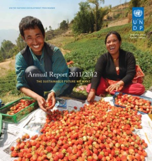 UNDP Annual Report 2011/2012: The Sustainable Future We Want