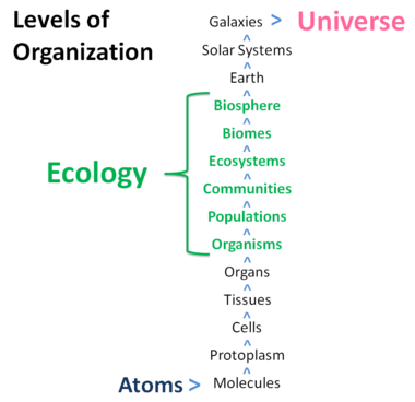 Levels of organization of Ecology